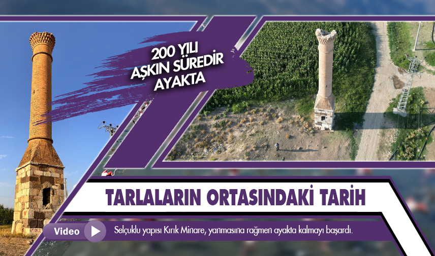 Tarlaların ortasındaki tarih